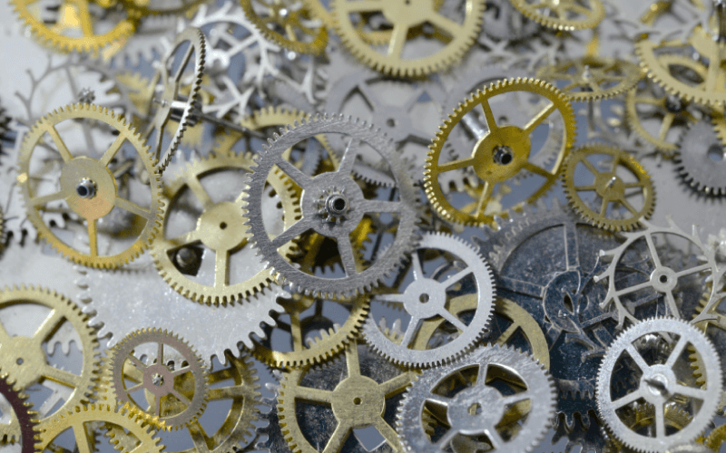 Exploring The Differences Between Watch Movements