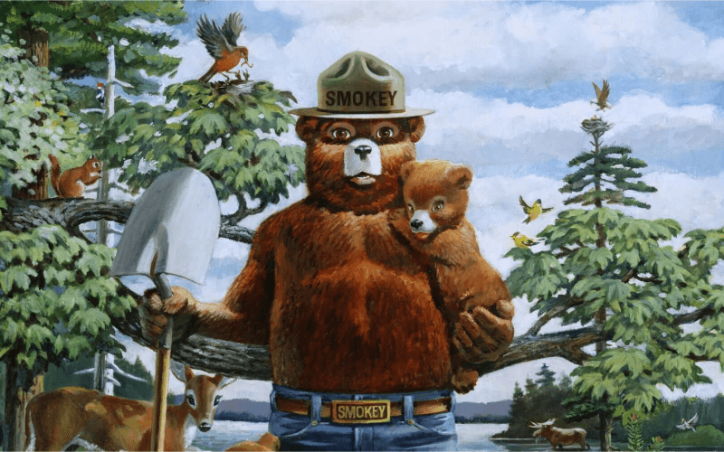 Smokey Bear: The Iconic Forest Guardian