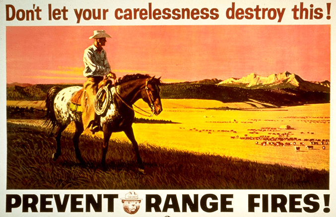 Fires Safety & Smokey Bear's Call To Action