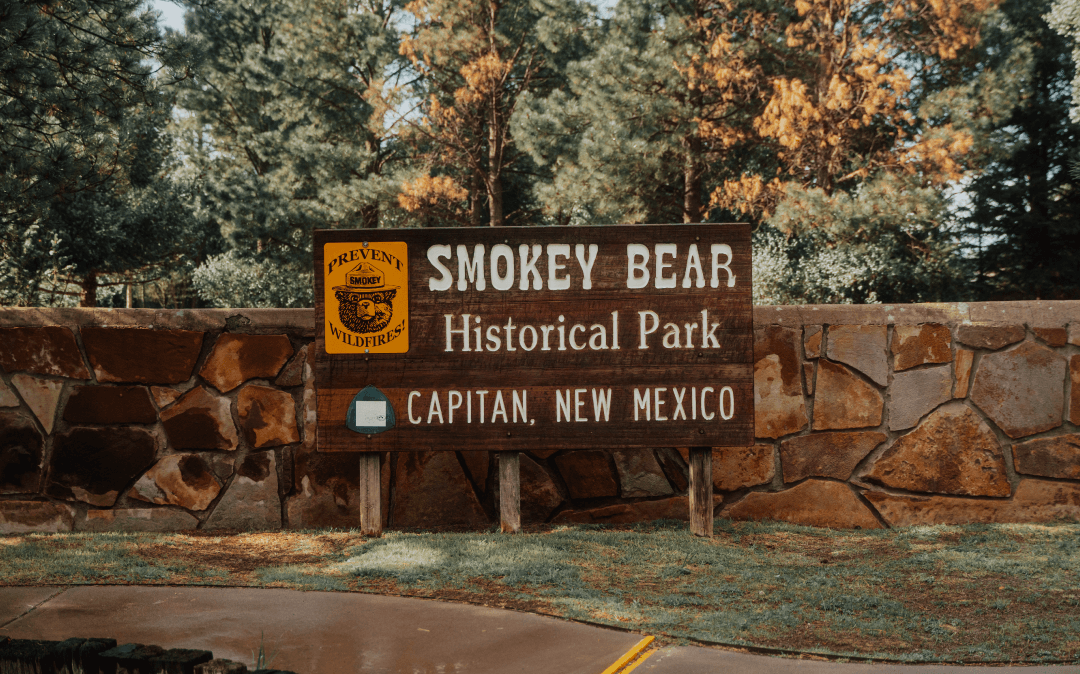 SMOKEY BEAR - THE ICONIC FOREST GUARDIAN