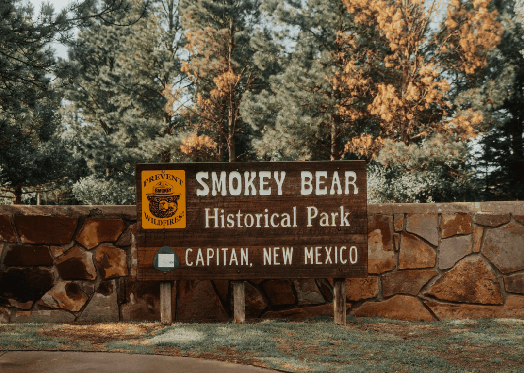 SMOKEY BEAR - THE ICONIC FOREST GUARDIAN