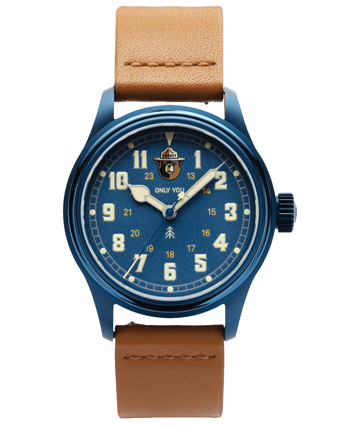 The Smokey Bear Blue Skies Edition - VERO Watch Company