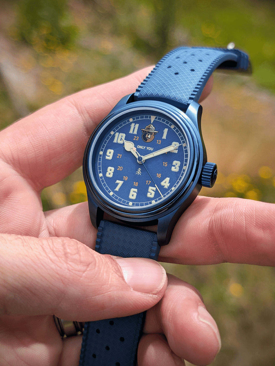 The Smokey Bear Blue Skies Edition - VERO Watch Company