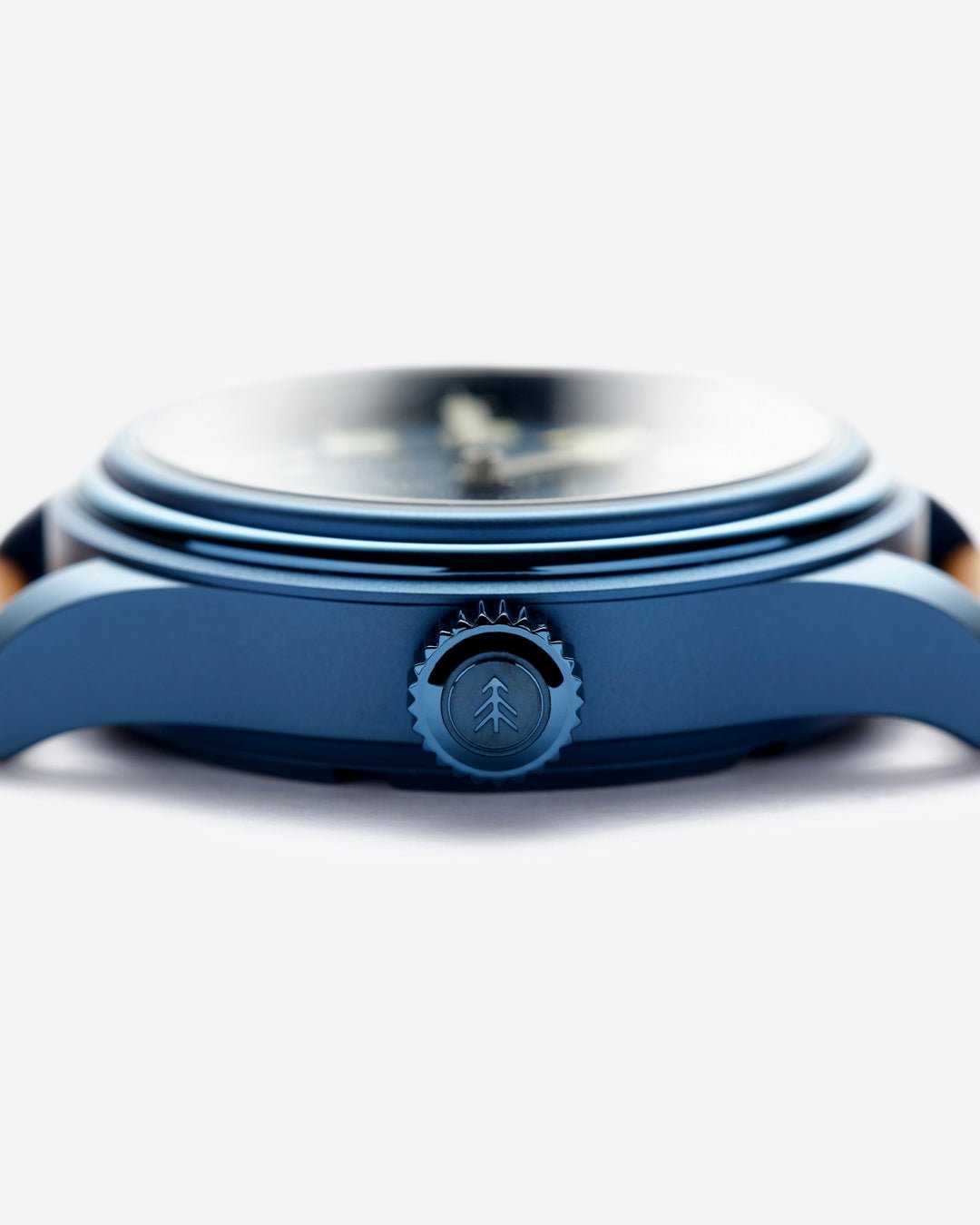 The Smokey Bear Blue Skies Edition - VERO Watch Company